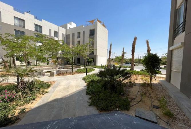 58249553 - Property Image 3