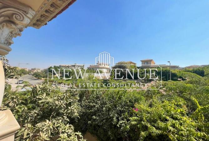 53979776 - صورة العقار 3