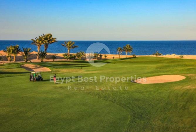 98009294 - Property Image 3