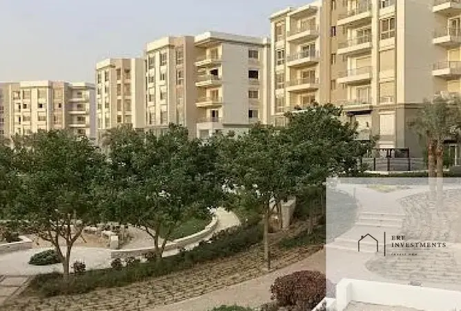 113539402 - Property Image 2