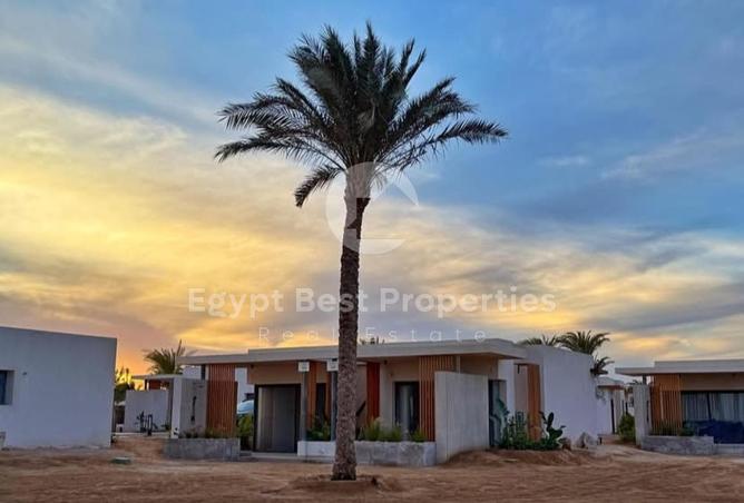 97144340 - صورة العقار 3