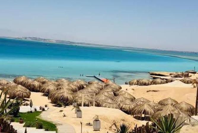 87847193 - صورة العقار 3