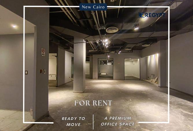 81298274 - Property Image 3