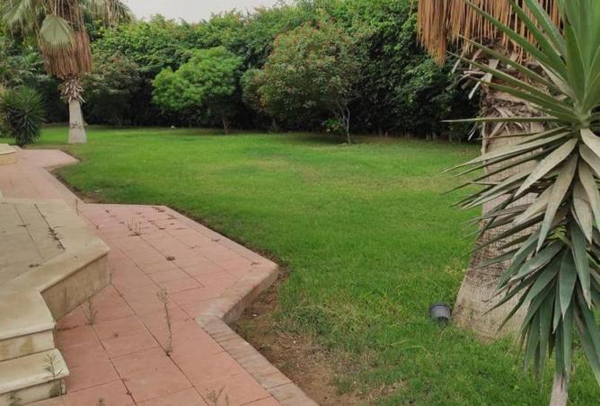 55005208 - صورة العقار 3