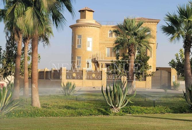 99392909 - صورة العقار 2