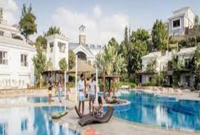 8394984 - Property Image 3