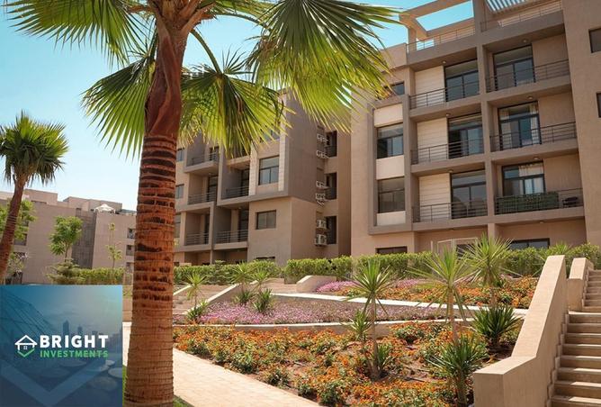 66697987 - صورة العقار 2