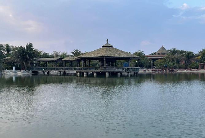 56694752 - Property Image 3