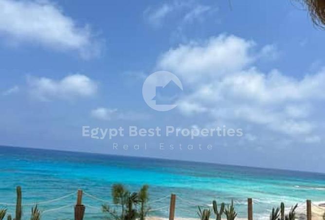 52188933 - صورة العقار 3