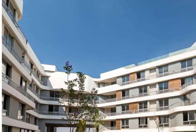 55749772 - Property Main Image