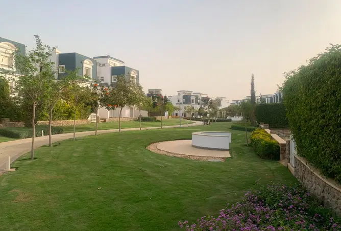 111305536 - صورة العقار 2