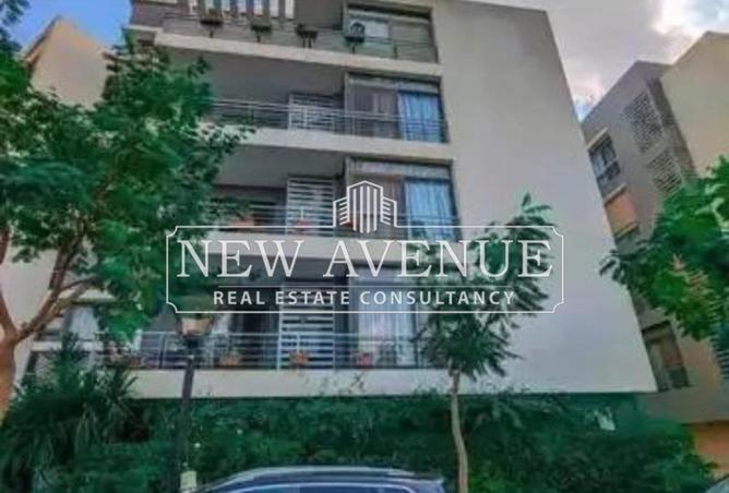 56505600 - Property Image 2