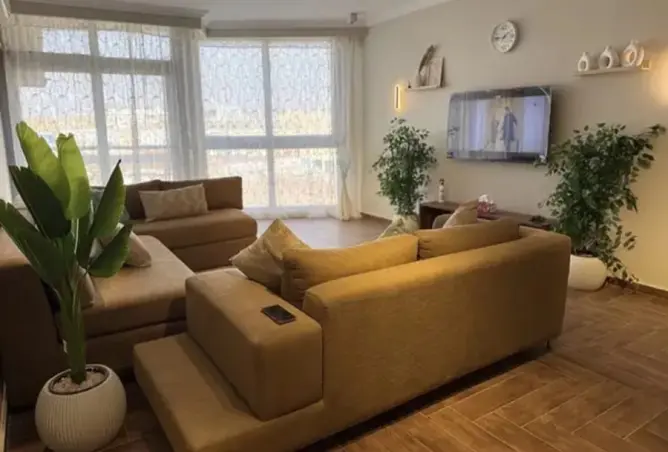 111876101 - Property Image 3