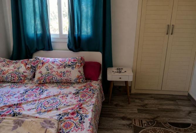 76781665 - Property Image 3