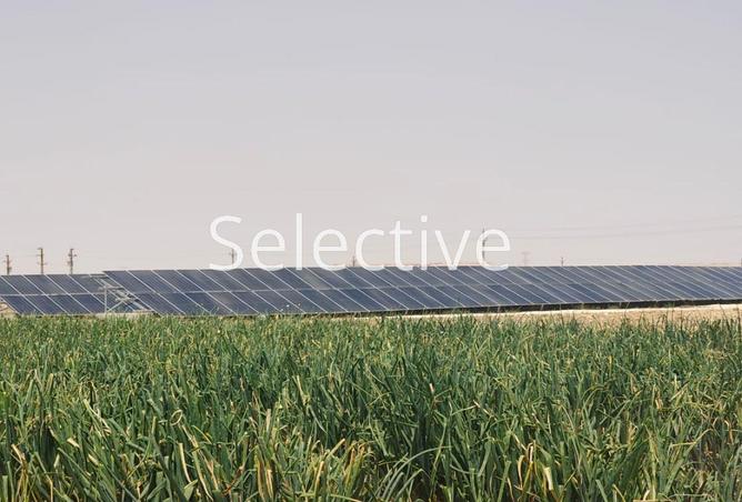 68800562 - الصورة الرئيسية للعقار