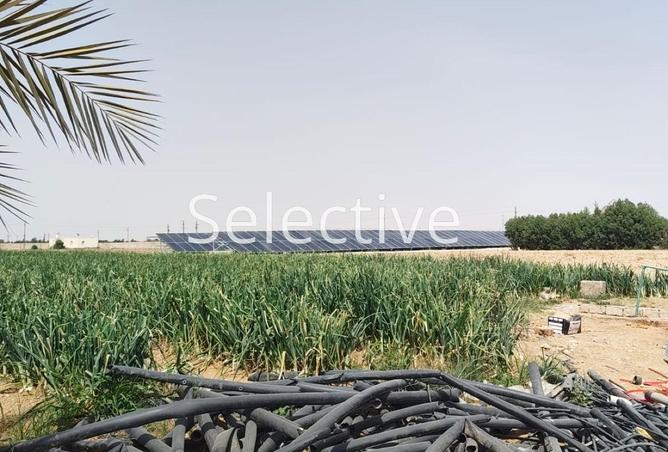 68800562 - صورة العقار 2