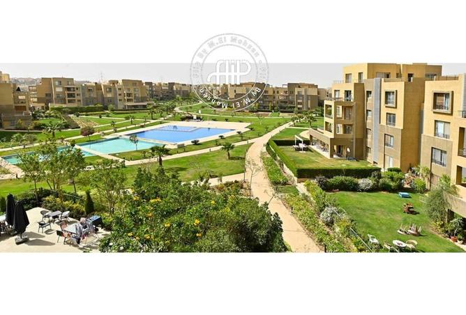 86679296 - Property Image 3