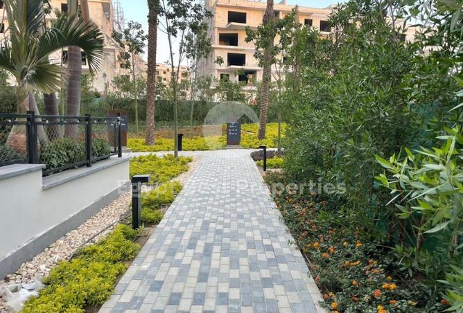 53717703 - Property Image 3