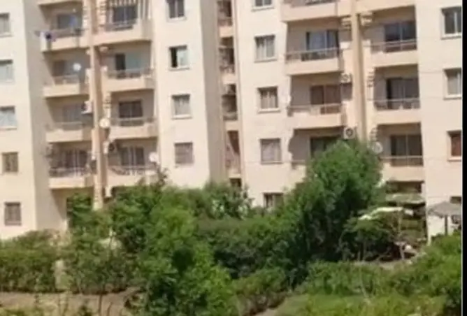 120874772 - صورة العقار 3