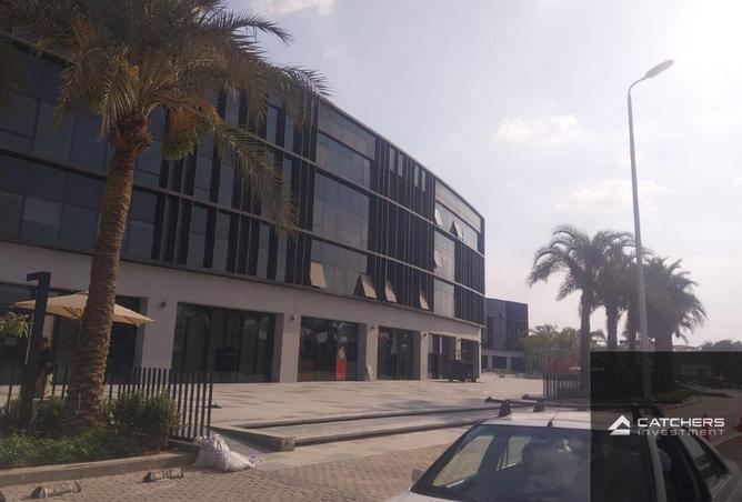 64906809 - Property Image 2