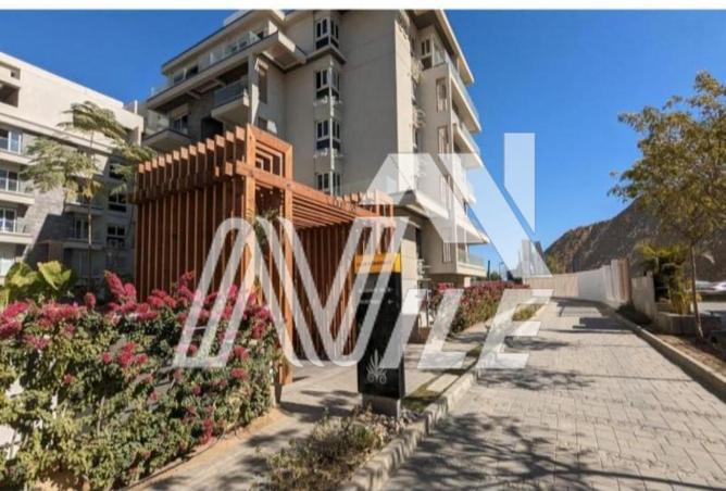 65662793 - Property Image 2