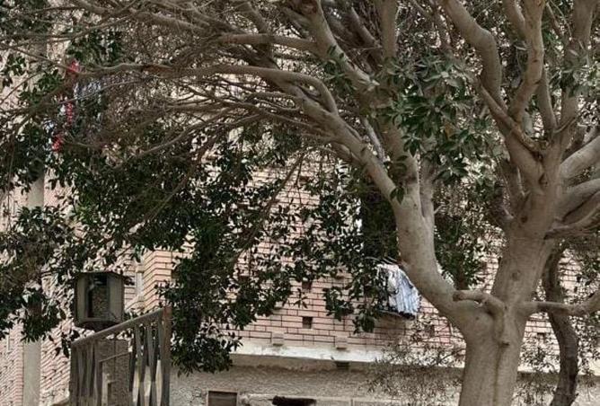 57501722 - صورة العقار 3