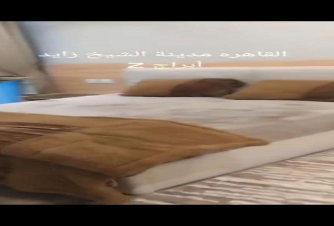 8505782 - صورة العقار 3