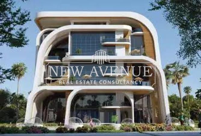 64137819 - Property Image 2