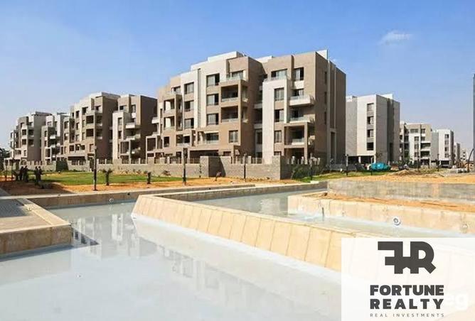 53730629 - Property Image 2