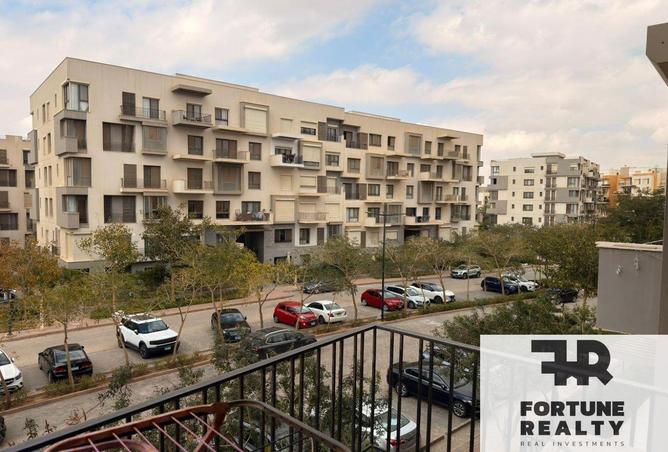 55509841 - Property Image 3