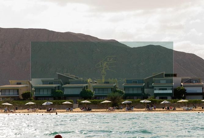 63383142 - صورة العقار 3