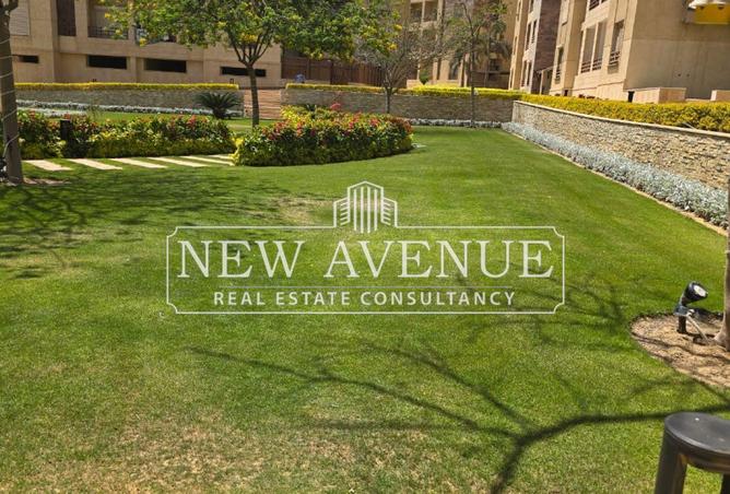 60956515 - Property Image 3