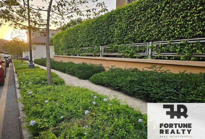 64135782 - صورة العقار 3