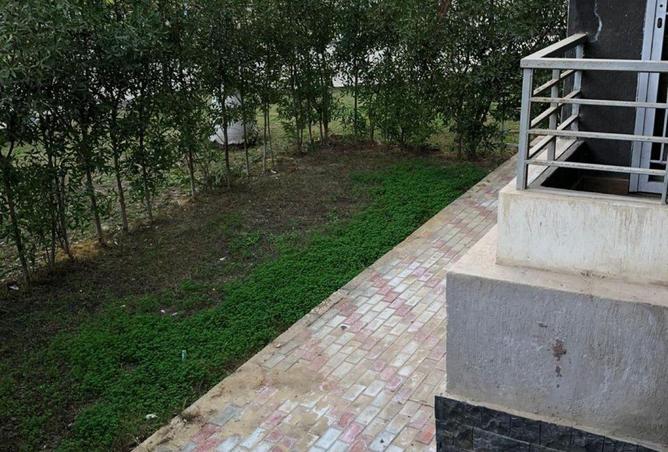 61696947 - Property Main Image