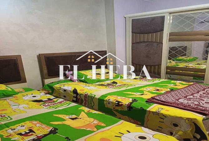 66437576 - Property Image 2