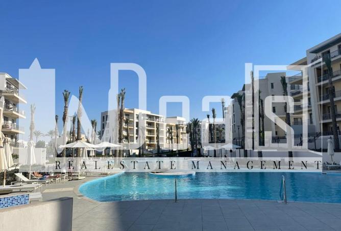 66955585 - صورة العقار 3