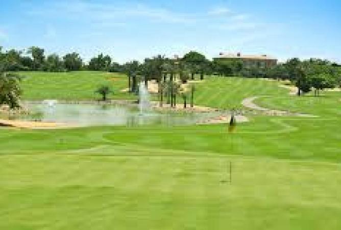 8624106 - Property Image 3