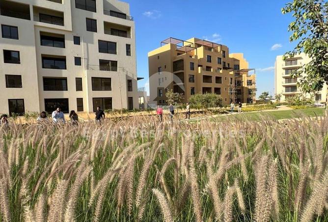 65920452 - صورة العقار 3