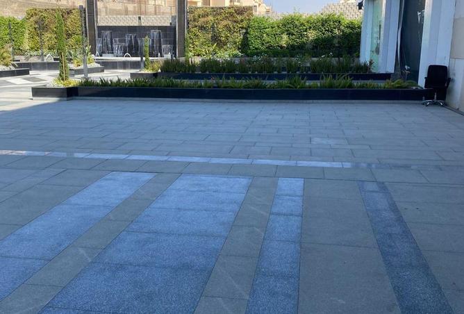 8536286 - Property Image 3