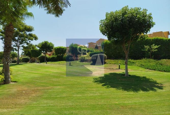 64894423 - Property Image 3