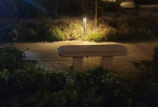 118813491 - Property Image 3