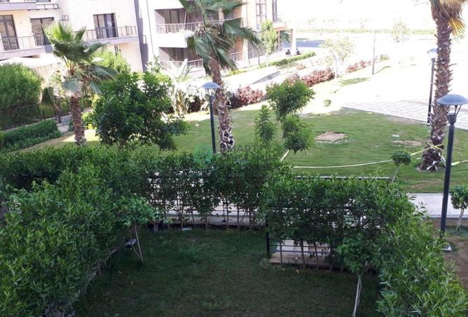 53474538 - Property Image 2