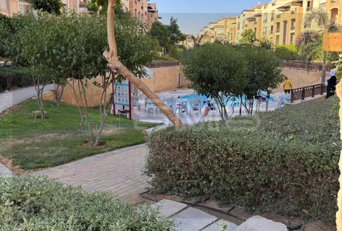 113526255 - صورة العقار 3