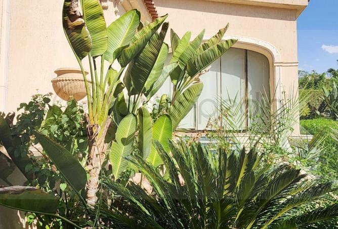 54492408 - Property Image 3