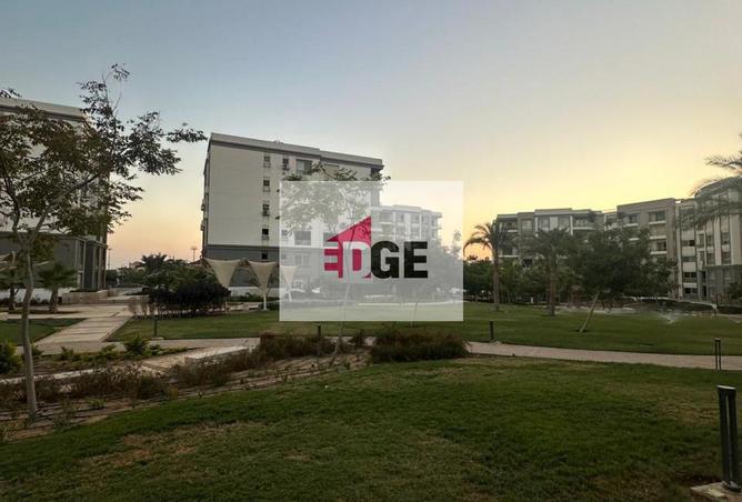 8400700 - صورة العقار 3