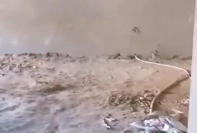 8677896 - الصورة الرئيسية للعقار