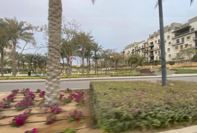 97997094 - Property Image 3