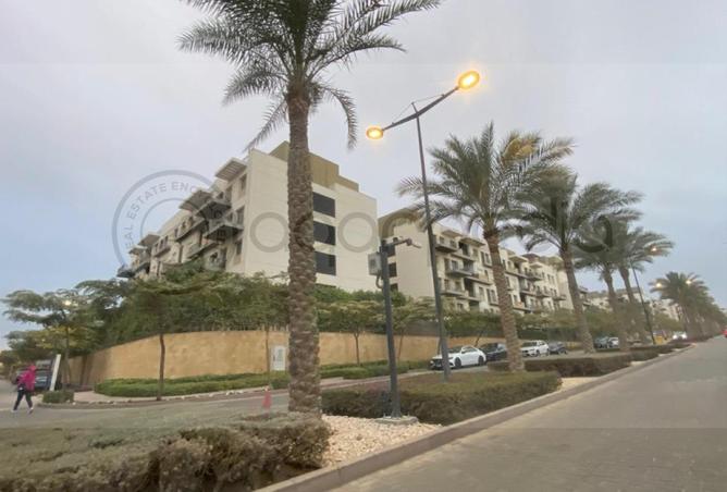 97997094 - Property Image 2