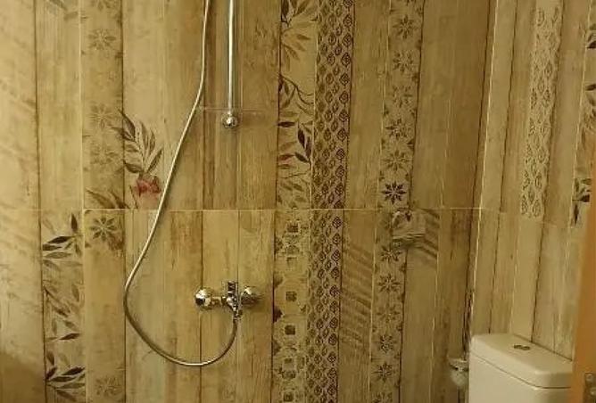 97997166 - صورة العقار 3