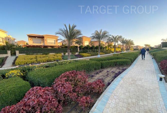 58492494 - صورة العقار 3